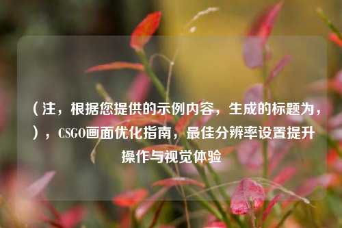 (注,根据您提供的示例内容,生成的标题为,),CSGO画面优化指南,最佳分辨率设置提升操作与视觉体验