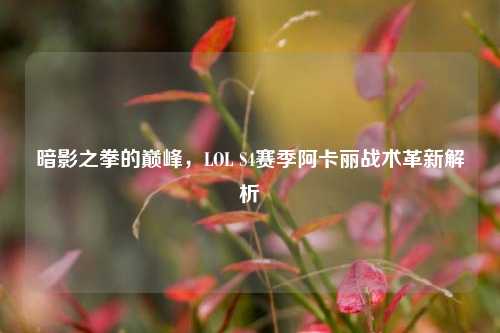 暗影之拳的巅峰，LOL S4赛季阿卡丽战术革新解析