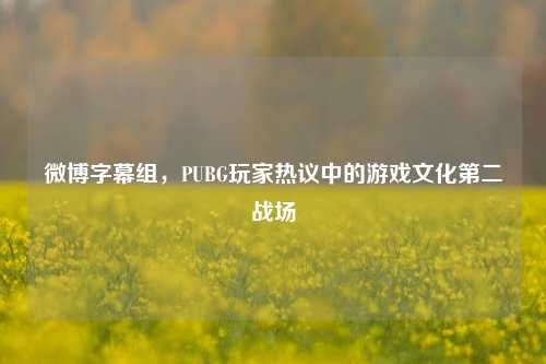 微博字幕组，PUBG玩家热议中的游戏文化第二战场