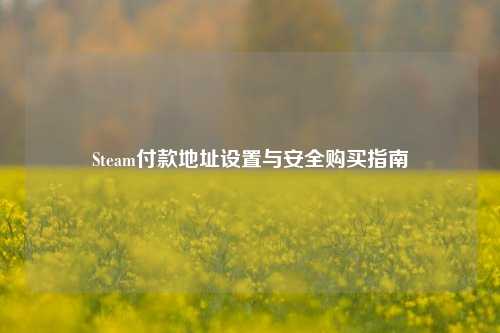 Steam付款地址设置与安全购买指南