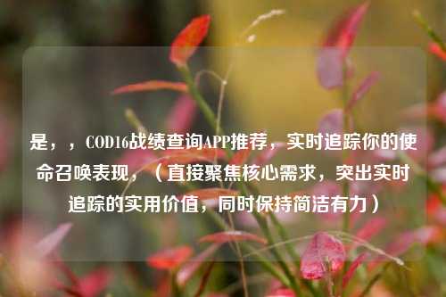 是，，COD16战绩查询APP推荐，实时追踪你的使命召唤表现，（直接聚焦核心需求，突出实时追踪的实用价值，同时保持简洁有力）
