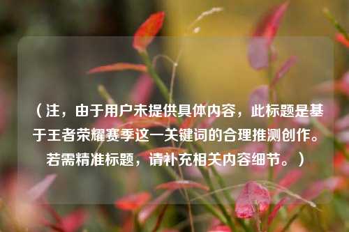 （注，由于用户未提供具体内容，此标题是基于王者荣耀赛季这一关键词的合理推测创作。若需精准标题，请补充相关内容细节。）