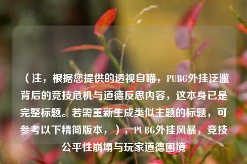 （注，根据您提供的透视自瞄，PUBG外挂泛滥背后的竞技危机与道德反思内容，这本身已是完整标题。若需重新生成类似主题的标题，可参考以下精简版本，），PUBG外挂风暴，竞技公平性崩塌与玩家道德困境