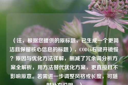 (注,根据您提供的原标题,已生成一个更简洁且保留核心信息的标题),COD16右键开镜慢?原因与优化方法详解,删减了冗余词分析方案全解析,用方法替代优化方案,更直接且不影响原意。若需进一步调整风格或长度,可随时补充说明。)