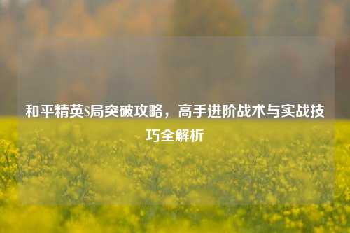 和平精英S局突破攻略,高手进阶战术与实战技巧全解析