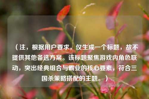 (注,根据用户要求,仅生成一个标题,故不提供其他备选方案。该标题聚焦游戏内角色联动,突出经典组合与霸业的核心要素,符合三国杀策略搭配的主题。)