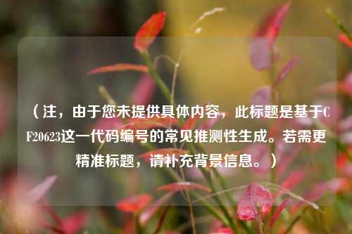 （注，由于您未提供具体内容，此标题是基于CF20623这一代码编号的常见推测性生成。若需更精准标题，请补充背景信息。）