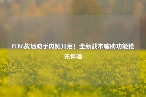 PUBG战场助手内测开启!全新战术辅助功能抢先体验