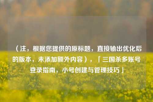 （注，根据您提供的原标题，直接输出优化后的版本，未添加额外内容），「三国杀多账号登录指南，小号创建与管理技巧」