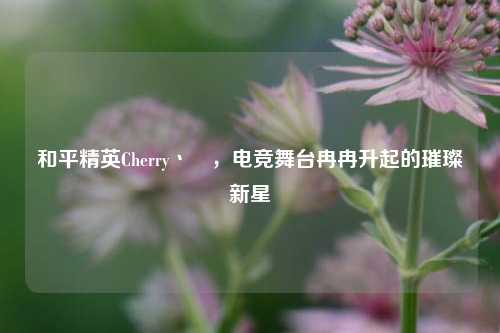 和平精英Cherry丶龑，电竞舞台冉冉升起的璀璨新星