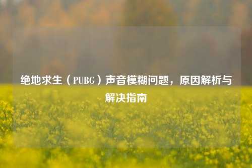 绝地求生(PUBG)声音模糊问题,原因解析与解决指南