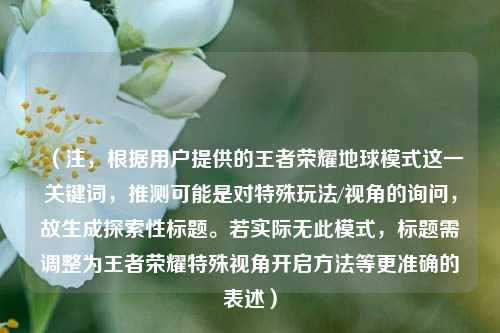 （注，根据用户提供的王者荣耀地球模式这一关键词，推测可能是对特殊玩法/视角的询问，故生成探索性标题。若实际无此模式，标题需调整为王者荣耀特殊视角开启方法等更准确的表述）