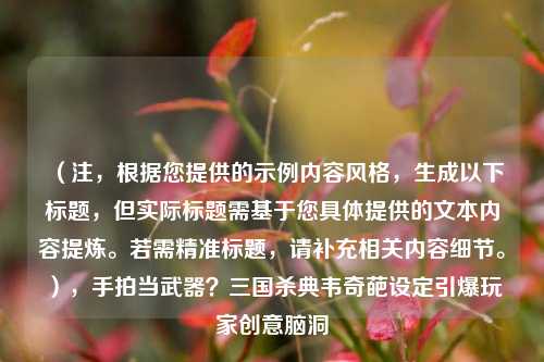 （注，根据您提供的示例内容风格，生成以下标题，但实际标题需基于您具体提供的文本内容提炼。若需精准标题，请补充相关内容细节。），手拍当武器？三国杀典韦奇葩设定引爆玩家创意脑洞