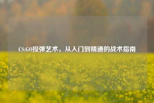 CS:GO投弹艺术，从入门到精通的战术指南