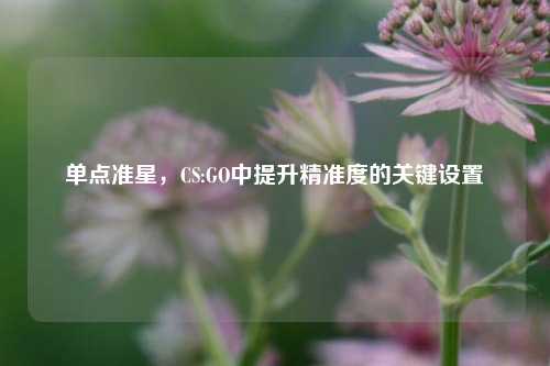单点准星,CS:GO中提升精准度的关键设置