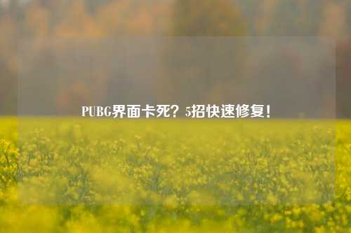 PUBG界面卡死？5招快速修复！
