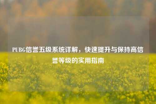 PUBG信誉五级系统详解,快速提升与保持高信誉等级的实用指南