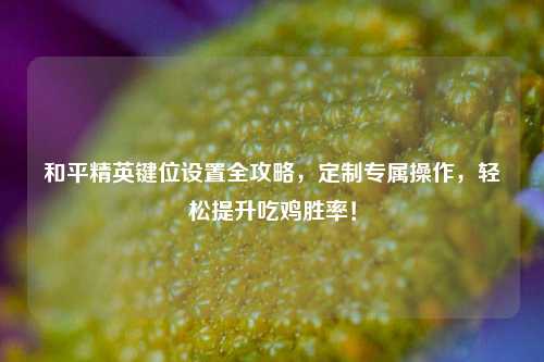 和平精英键位设置全攻略,定制专属操作,轻松提升吃鸡胜率!