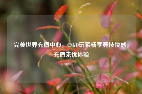 完美世界充值中心,CSGO玩家畅享竞技快感,充值无忧体验