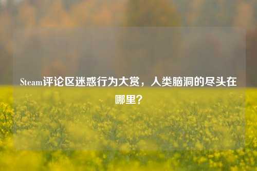 Steam评论区迷惑行为大赏，人类脑洞的尽头在哪里？