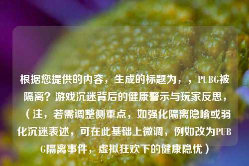 根据您提供的内容,生成的标题为,,PUBG被隔离?游戏沉迷背后的健康警示与玩家反思,(注,若需调整侧重点,如强化隔离隐喻或弱化沉迷表述,可在此基础上微调,例如改为PUBG隔离事件,虚拟狂欢下的健康隐忧)