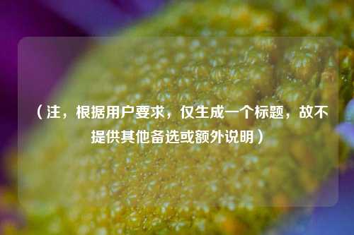 （注，根据用户要求，仅生成一个标题，故不提供其他备选或额外说明）