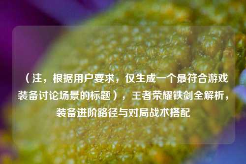 (注,根据用户要求,仅生成一个最符合游戏装备讨论场景的标题),王者荣耀铁剑全解析,装备进阶路径与对局战术搭配