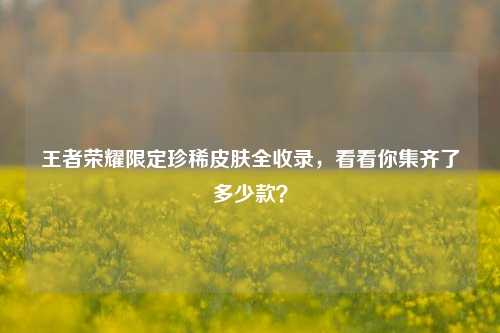 王者荣耀限定珍稀皮肤全收录,看看你集齐了多少款?