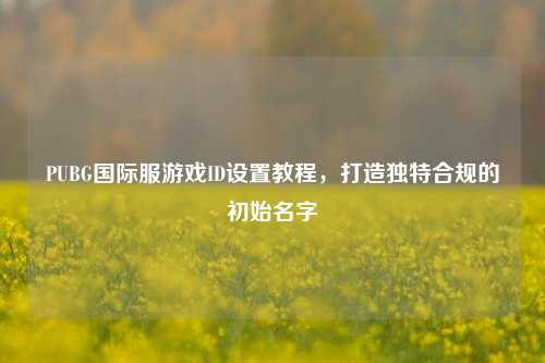 PUBG国际服游戏ID设置教程，打造独特合规的初始名字