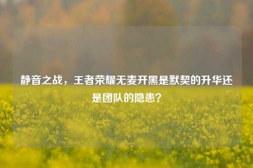 静音之战，王者荣耀无麦开黑是默契的升华还是团队的隐患？