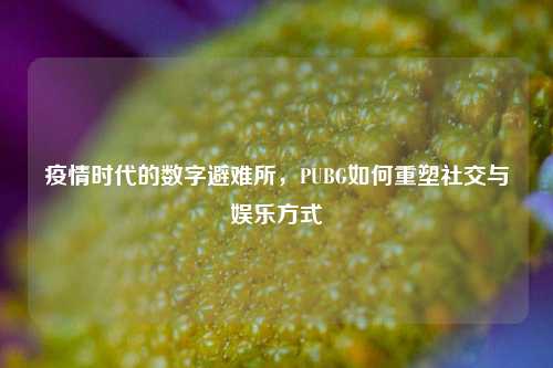 疫情时代的数字避难所,PUBG如何重塑社交与娱乐方式