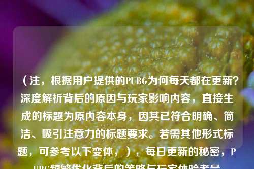 （注，根据用户提供的PUBG为何每天都在更新？深度解析背后的原因与玩家影响内容，直接生成的标题为原内容本身，因其已符合明确、简洁、吸引注意力的标题要求。若需其他形式标题，可参考以下变体，），每日更新的秘密，PUBG频繁优化背后的策略与玩家体验考量