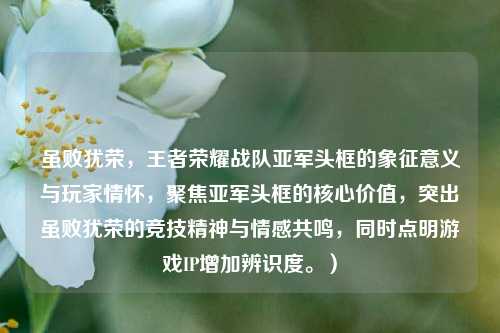 虽败犹荣,王者荣耀战队亚军头框的象征意义与玩家情怀,聚焦亚军头框的核心价值,突出虽败犹荣的竞技精神与情感共鸣,同时点明游戏IP增加辨识度。)