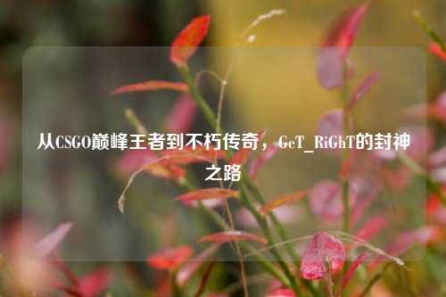 从CSGO巅峰王者到不朽传奇,GeT_RiGhT的封神之路
