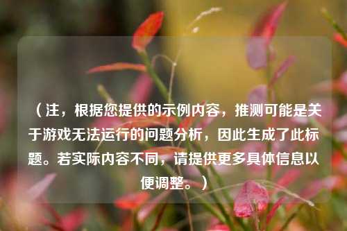 （注，根据您提供的示例内容，推测可能是关于游戏无法运行的问题分析，因此生成了此标题。若实际内容不同，请提供更多具体信息以便调整。）