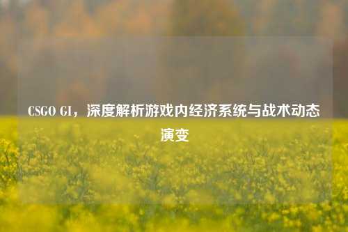 CSGO GI,深度解析游戏内经济系统与战术动态演变