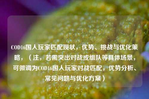 COD16国人玩家匹配现状，优势、挑战与优化策略，（注，若需突出对战或组队等具体场景，可微调为COD16国人玩家对战匹配，优势分析、常见问题与优化方案）