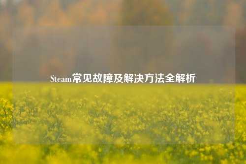 Steam常见故障及解决方法全解析