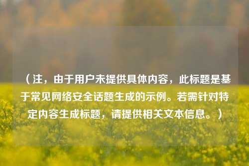 (注,由于用户未提供具体内容,此标题是基于常见网络安全话题生成的示例。若需针对特定内容生成标题,请提供相关文本信息。)