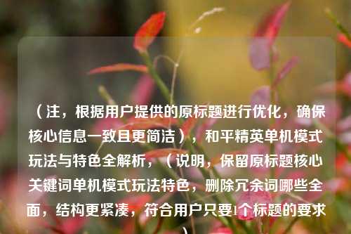 （注，根据用户提供的原标题进行优化，确保核心信息一致且更简洁），和平精英单机模式玩法与特色全解析，（说明，保留原标题核心关键词单机模式玩法特色，删除冗余词哪些全面，结构更紧凑，符合用户只要1个标题的要求。）