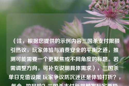 （注，根据您提供的示例内容三国杀支付限额引热议，玩家体验与消费安全的平衡之道，推测可能需要一个更聚焦或不同角度的标题。若需调整方向，可补充说明具体需求），三国杀单日充值设限 玩家争议防沉迷还是体验打折？，氪金or控风险？三国杀支付新规触发玩家两极化讨论，每日充值500元上限 三国杀防过度消费措施成效待观察，（如您需要完全不同的标题方向，请提供更多背景信息）