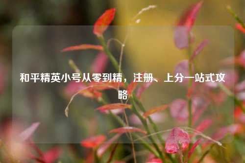 和平精英小号从零到精，注册、上分一站式攻略