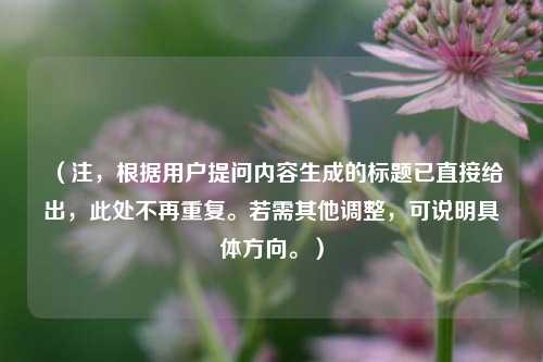 （注，根据用户提问内容生成的标题已直接给出，此处不再重复。若需其他调整，可说明具体方向。）