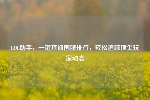 LOL助手,一键查询国服排行,轻松追踪顶尖玩家动态