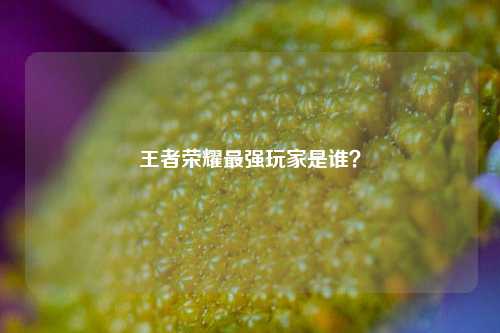 王者荣耀最强玩家是谁?