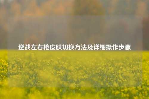 逆战左右枪皮肤切换方法及详细操作步骤