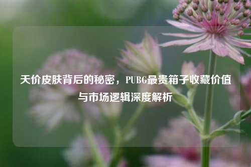 天价皮肤背后的秘密，PUBG最贵箱子收藏价值与市场逻辑深度解析