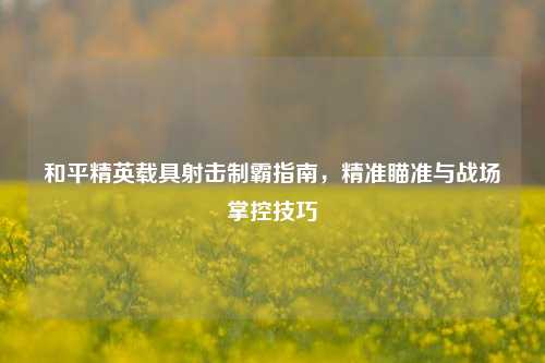 和平精英载具射击制霸指南，精准瞄准与战场掌控技巧