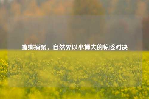 螳螂捕鼠,自然界以小博大的惊险对决