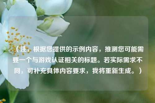 （注，根据您提供的示例内容，推测您可能需要一个与游戏认证相关的标题。若实际需求不同，可补充具体内容要求，我将重新生成。）